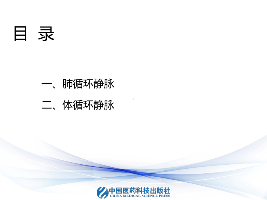 体循环的静脉课件.ppt_第3页