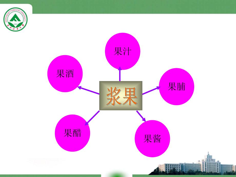 杀菌灌装将澄清蓝莓原汁经12大兴安岭课件.ppt_第2页