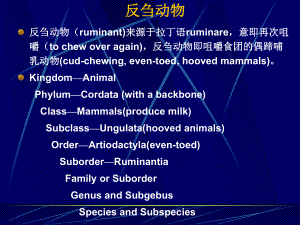 反刍动物的营养特点课件.ppt