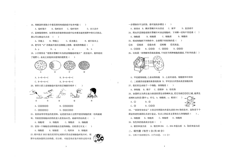 四川省绵阳 英才 2022-2023学年上学期七年级半期学情调查生物试卷.pdf_第2页