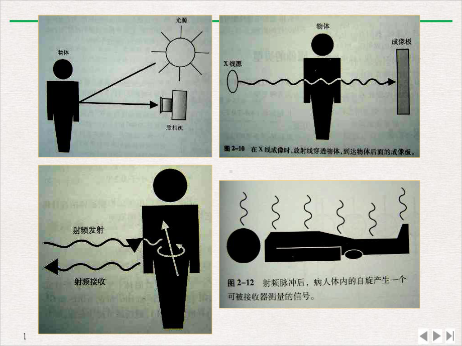 磁共振基本原理及读片教学课件.pptx_第3页