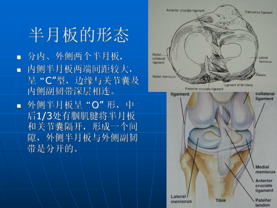 半月板修复术后的康复-课件.ppt_第3页