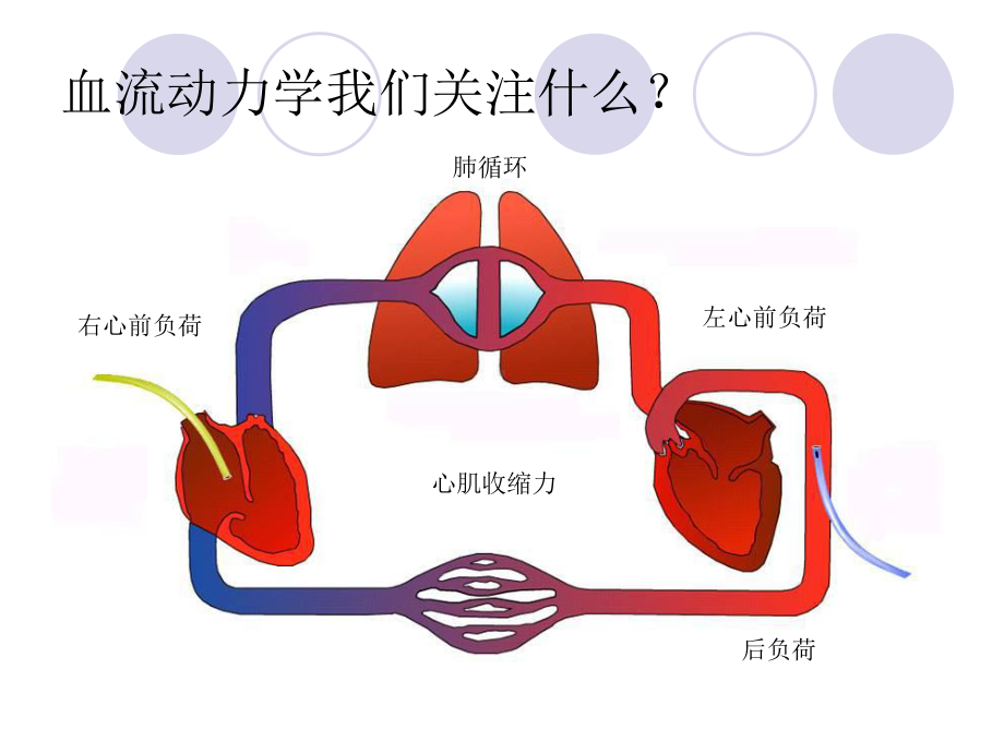 最新-PICCO参数解读与血流动力学课件.ppt_第2页