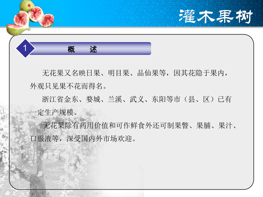 无花果生产技术课件.ppt_第3页