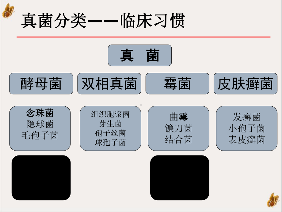 抗真菌药物总结课件.ppt_第3页