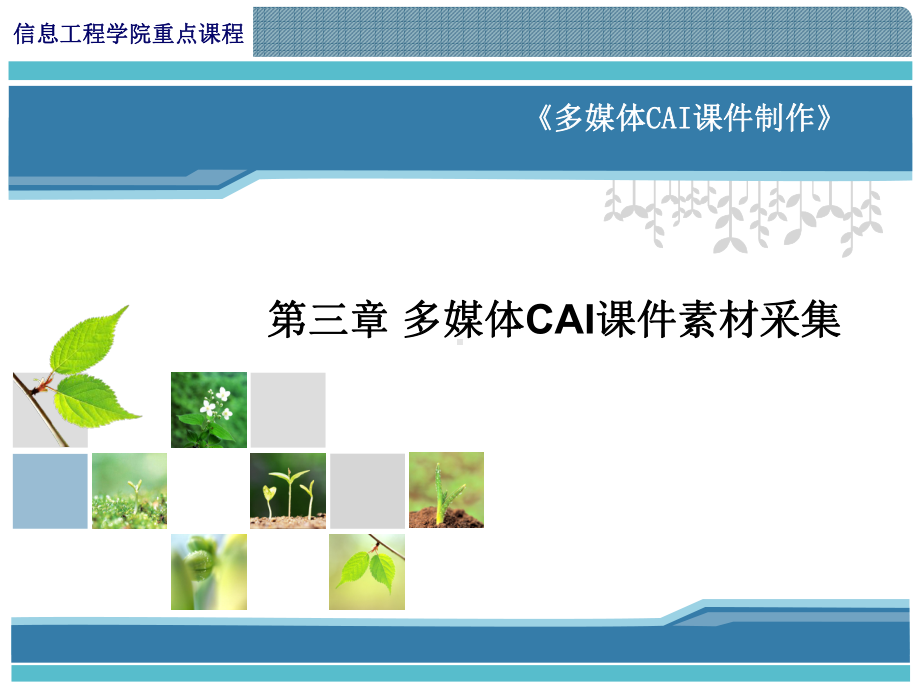 多媒体CAI课件音频信息的教学功能.ppt_第1页