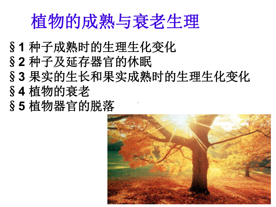 植物的成熟与衰老生理2课件.ppt_第3页