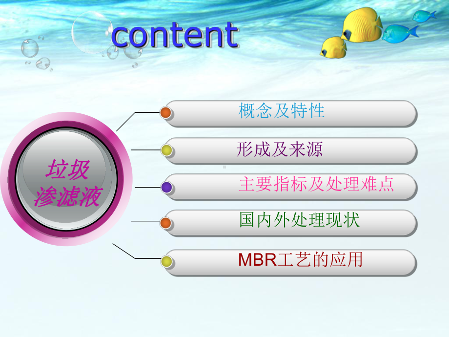 垃圾渗滤液概述课件.ppt_第2页