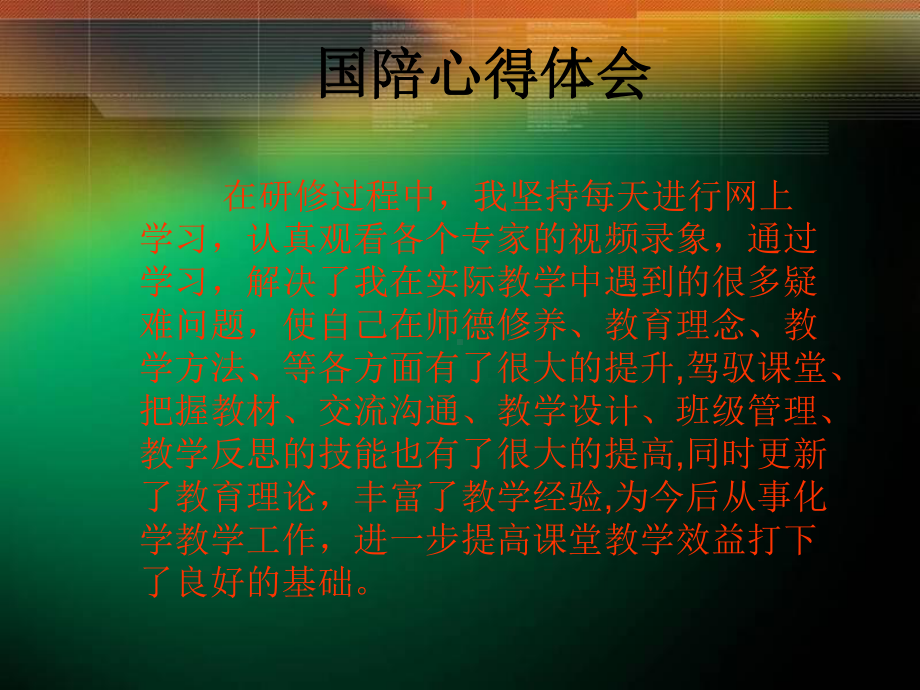 国陪心得体会课件.ppt_第1页