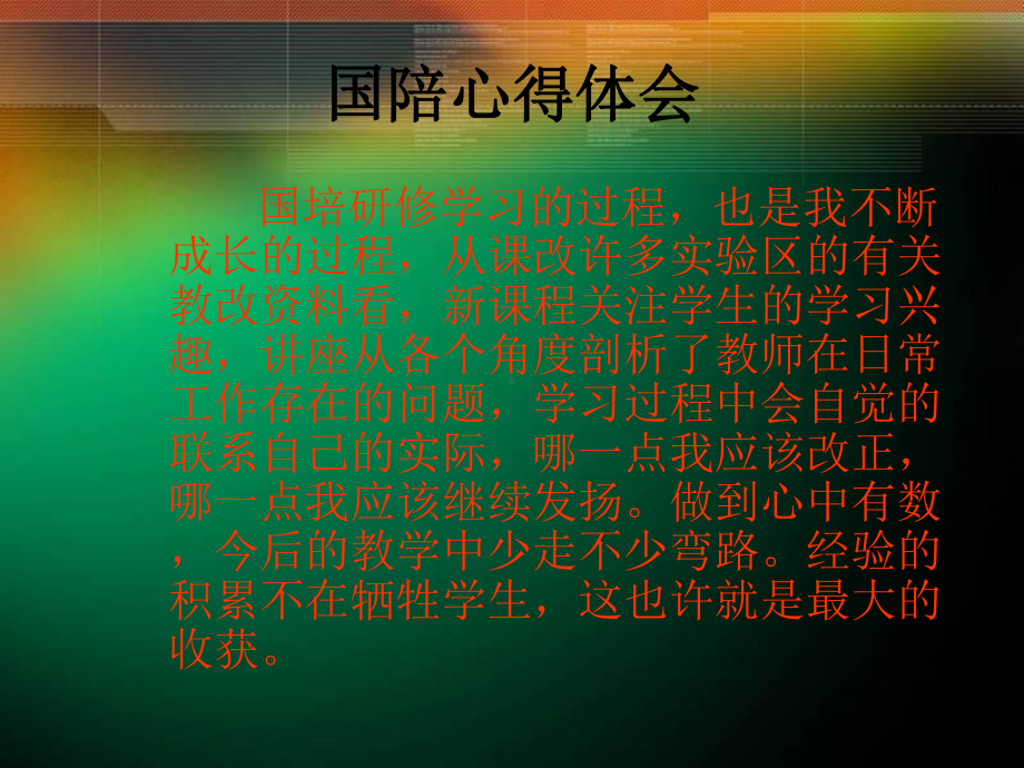 国陪心得体会课件.ppt_第2页