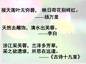 爱莲说教师用课件.pptx