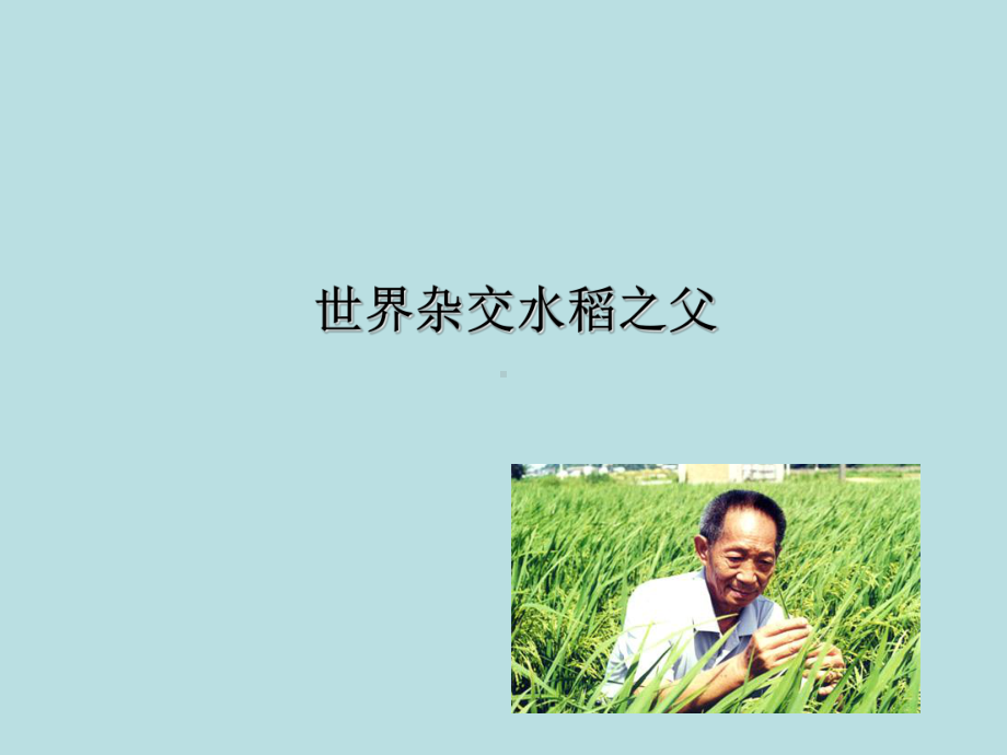 杂交水稻之父课件正式完美版.ppt_第1页