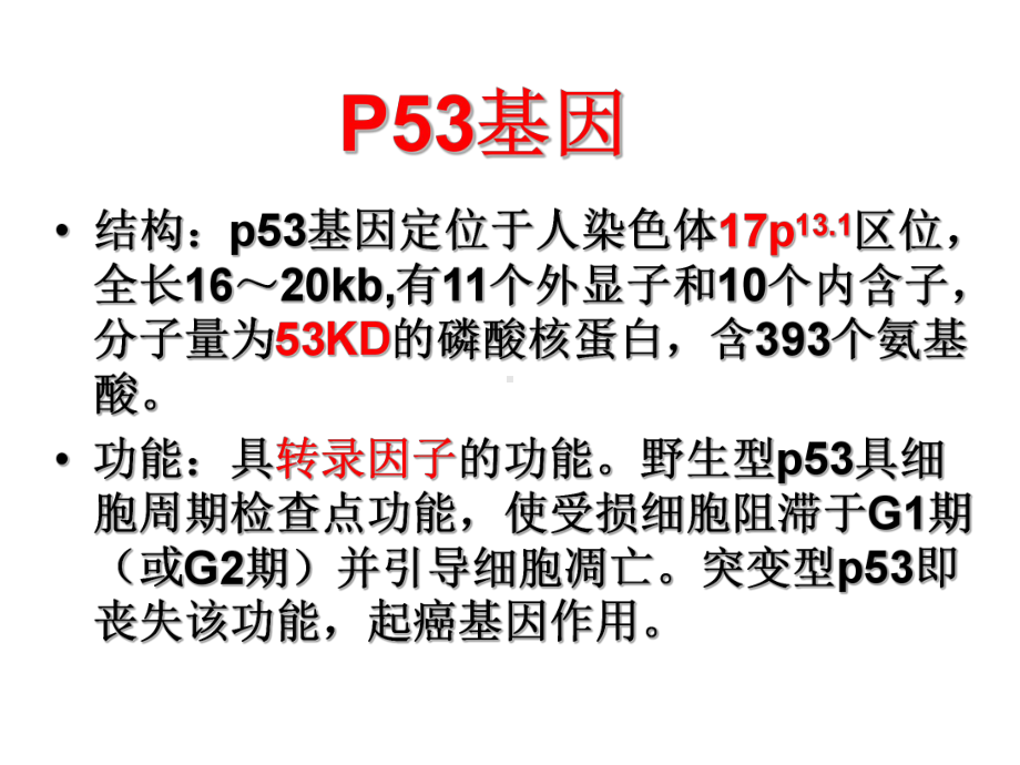 基础与临床-课件.ppt_第2页