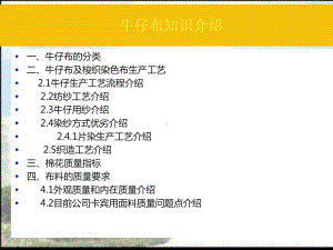 牛仔布的生产流程和主要质量问题成因分析报告课件.ppt