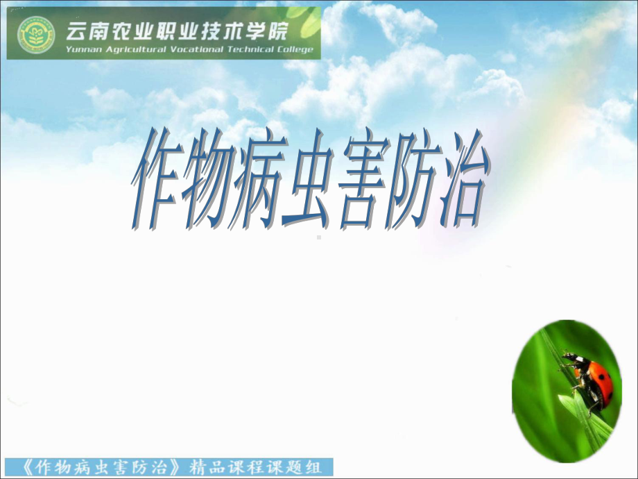 植物病虫害综合治理课件.ppt_第1页