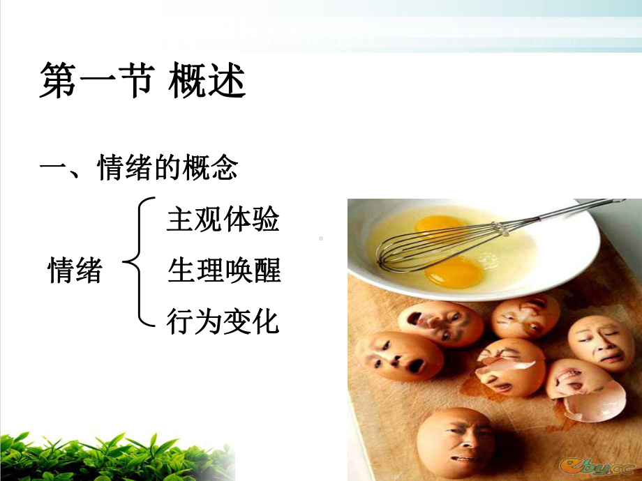 生理心理学第九章情绪课件.ppt_第3页