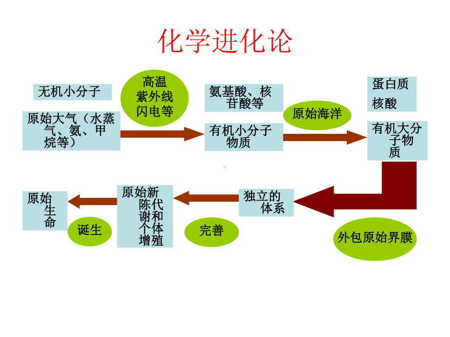 济南版八下五单元一进化和起源总课件.pptx_第2页