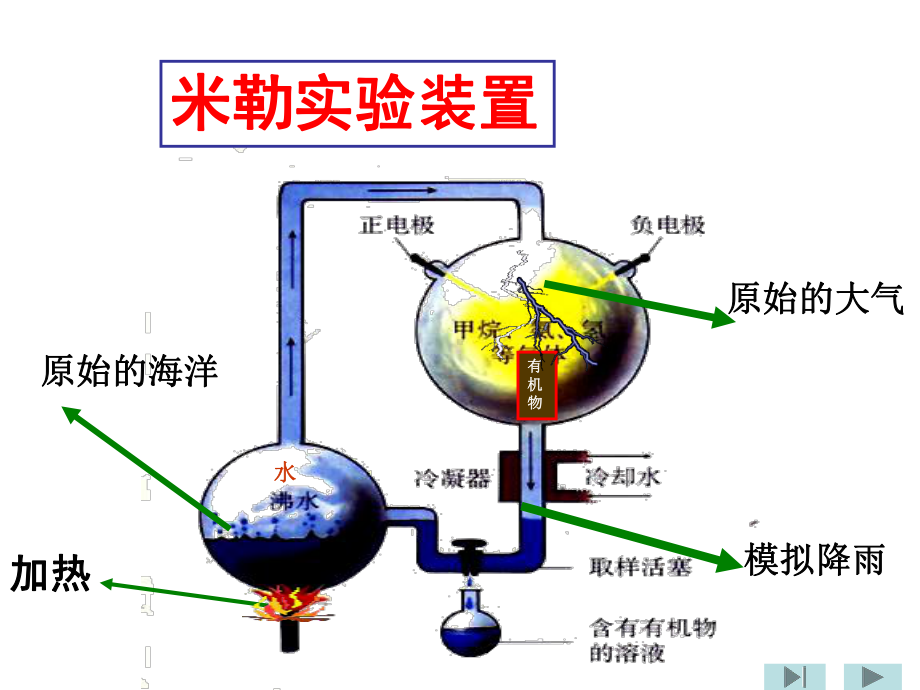 济南版八下五单元一进化和起源总课件.pptx_第3页