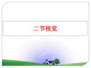 最新二节视觉课件.ppt