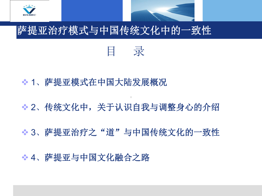 撒提亚治疗的课件-.ppt_第2页