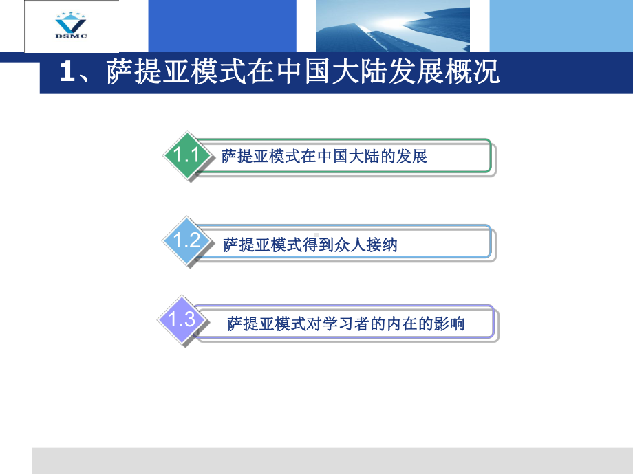 撒提亚治疗的课件-.ppt_第3页