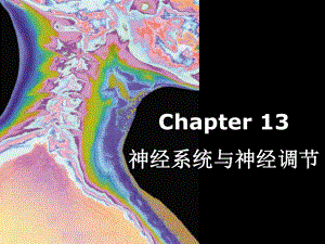 普通生物学-13神经系统与神经调节课件.ppt