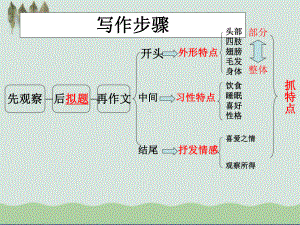 作文《菊花》-课件.ppt