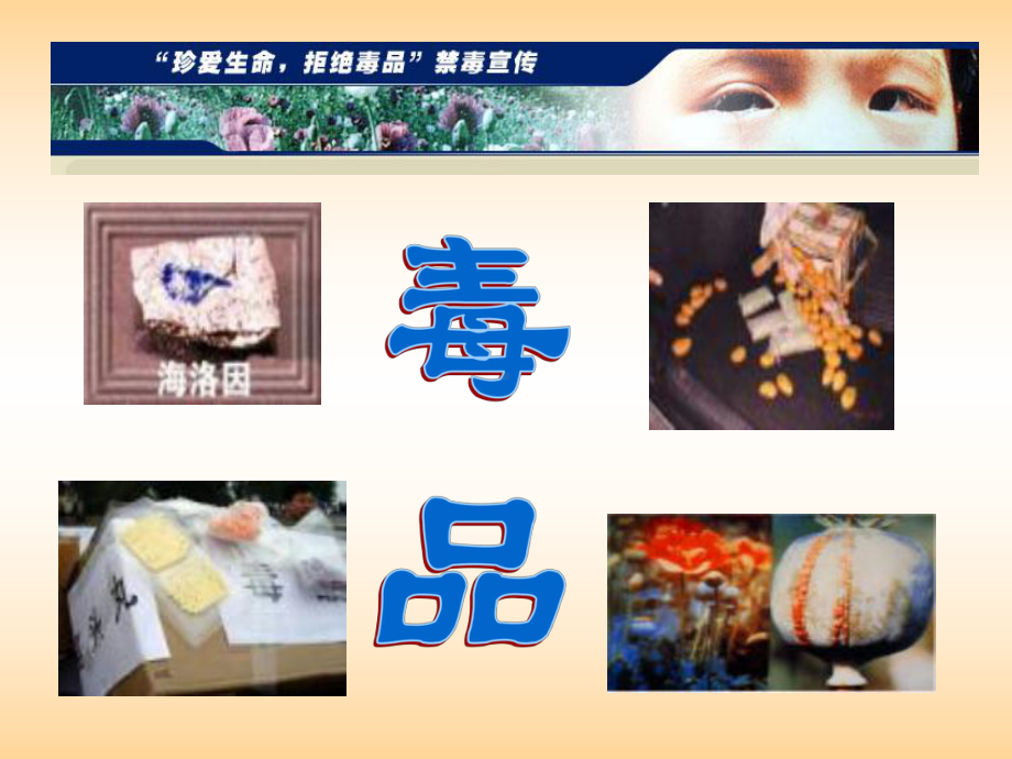 珍爱生命 拒绝毒品课件.ppt_第2页