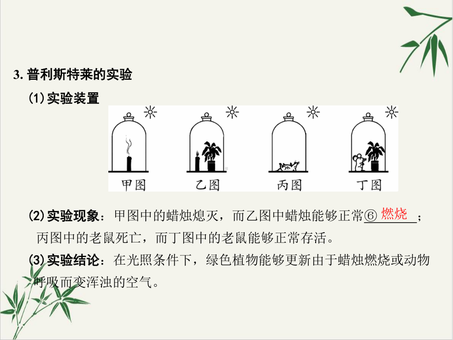 浙教版科学八年级下《光合作用》课堂课件2.ppt_第3页