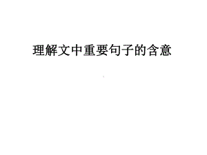 现代文阅读-句子含义课件.ppt