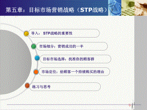 目标市场营销战略STP战略课件.pptx