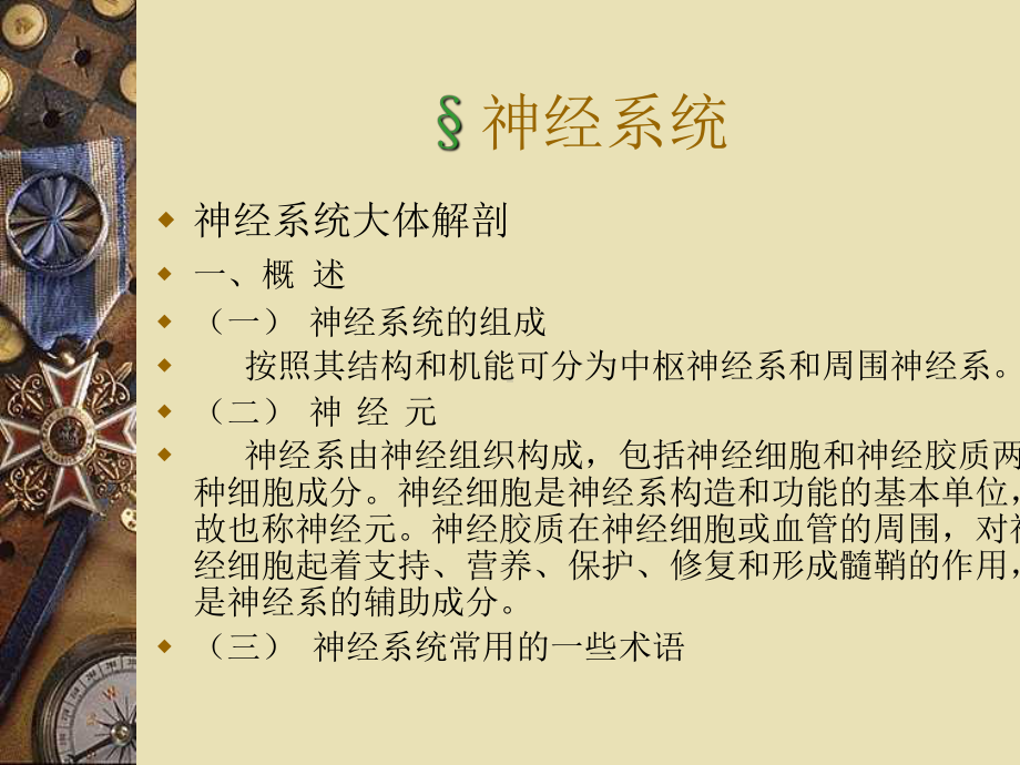 神经系统讲课资料课件.ppt_第1页