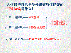 特异性反应时定稿课件.pptx