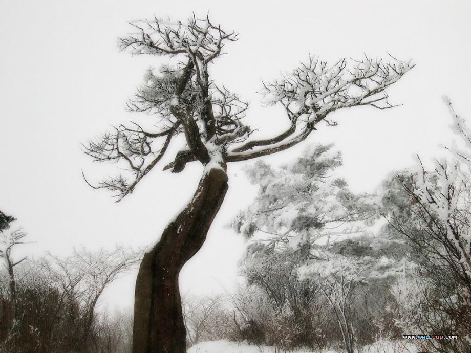 湖心亭看雪-课件.ppt_第3页