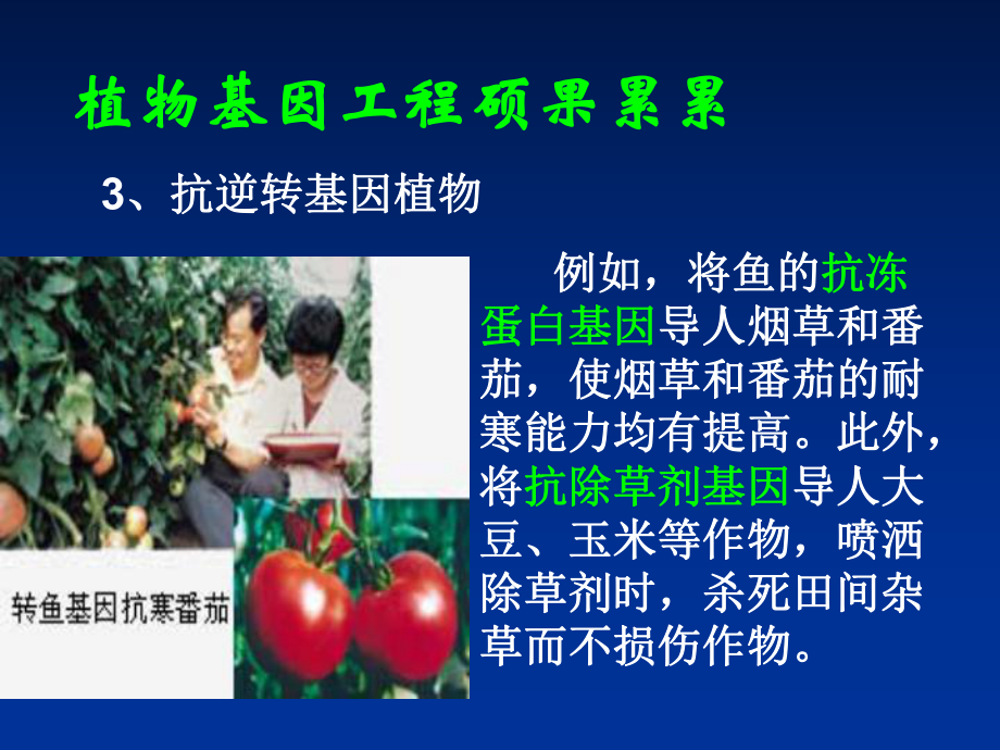 基因工程的前景课件.ppt_第3页