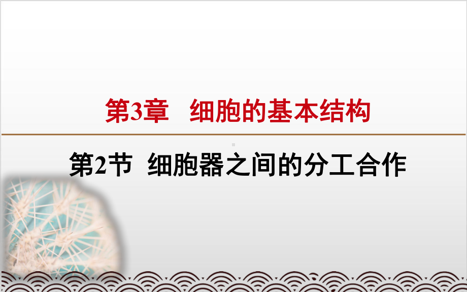 新教材《细胞器之间的分工合作》课文分析人教版1课件.pptx_第1页