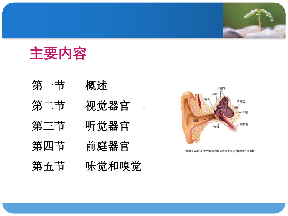 感觉器官生理课件.ppt_第2页