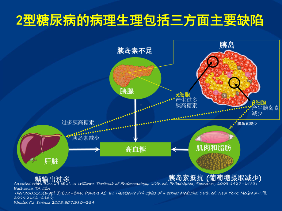 捷诺维-突破2型糖尿病治疗的新希望课件.ppt_第3页