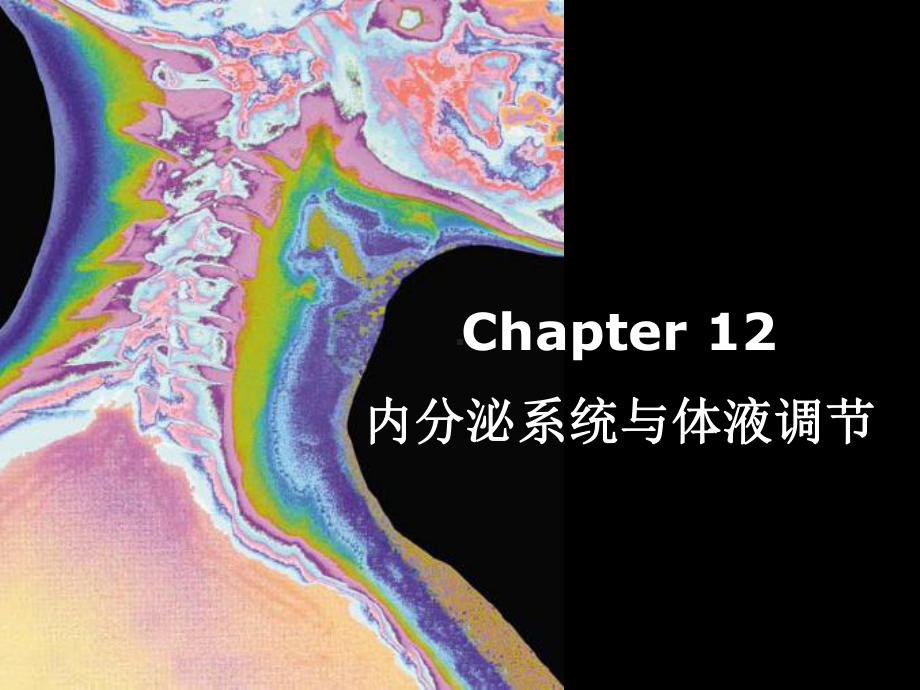 普通生物学-12内分泌系统与体液调节课件.ppt_第1页