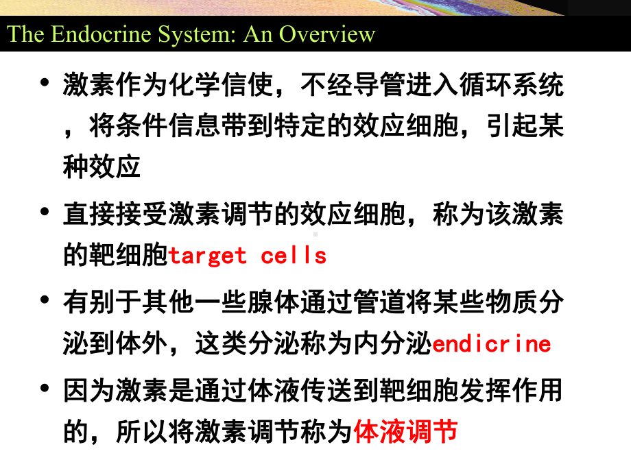 普通生物学-12内分泌系统与体液调节课件.ppt_第3页