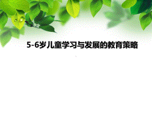 大班教育策略-课件.ppt