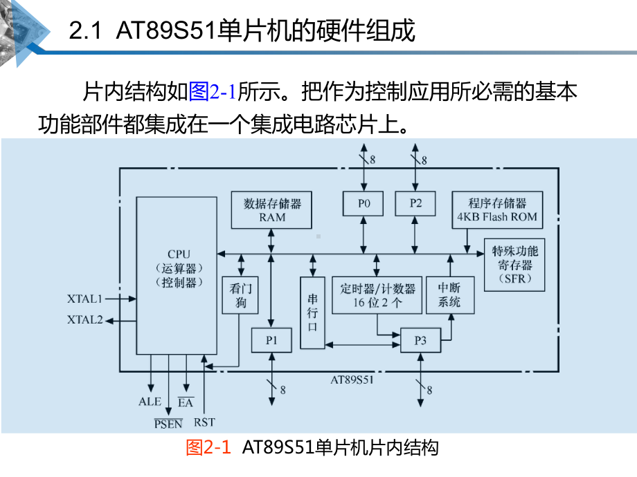 单片机原理及接口技术(C51编程)02课件.pptx_第3页