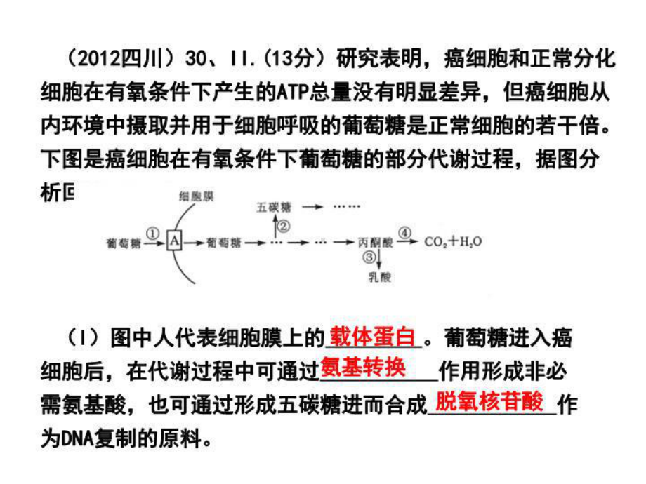 最新基因与性状的关系终稿课件.ppt_第3页