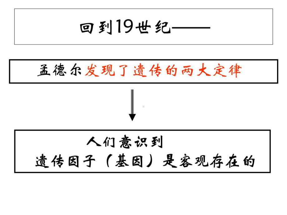 基因在染色体上--获奖课件说课讲解.ppt_第3页