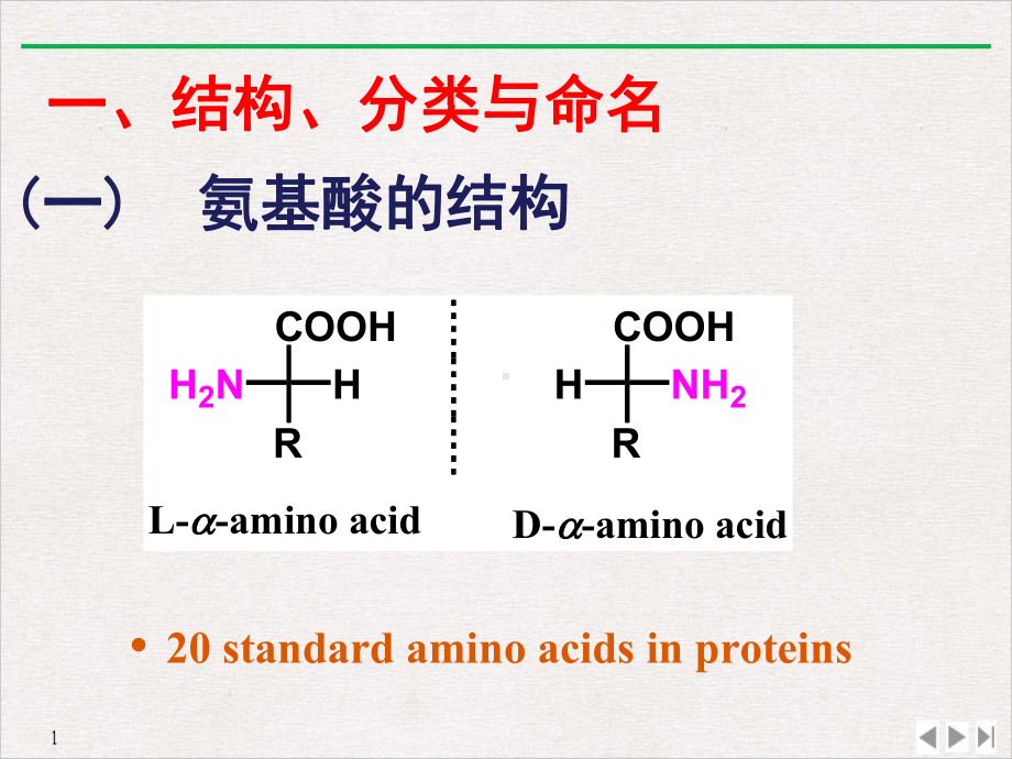 氨基酸多肽蛋白质课件.pptx_第3页