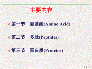 氨基酸多肽蛋白质课件.pptx