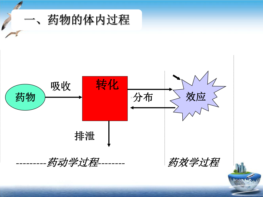 抗癌药物的药代动力学培训课程课件.ppt_第2页