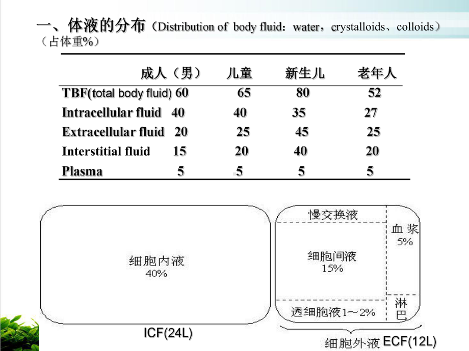 水电平衡紊乱培训课件.ppt_第3页