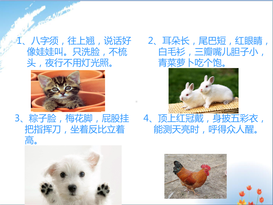 状物作文之动物类优秀课件.ppt_第2页