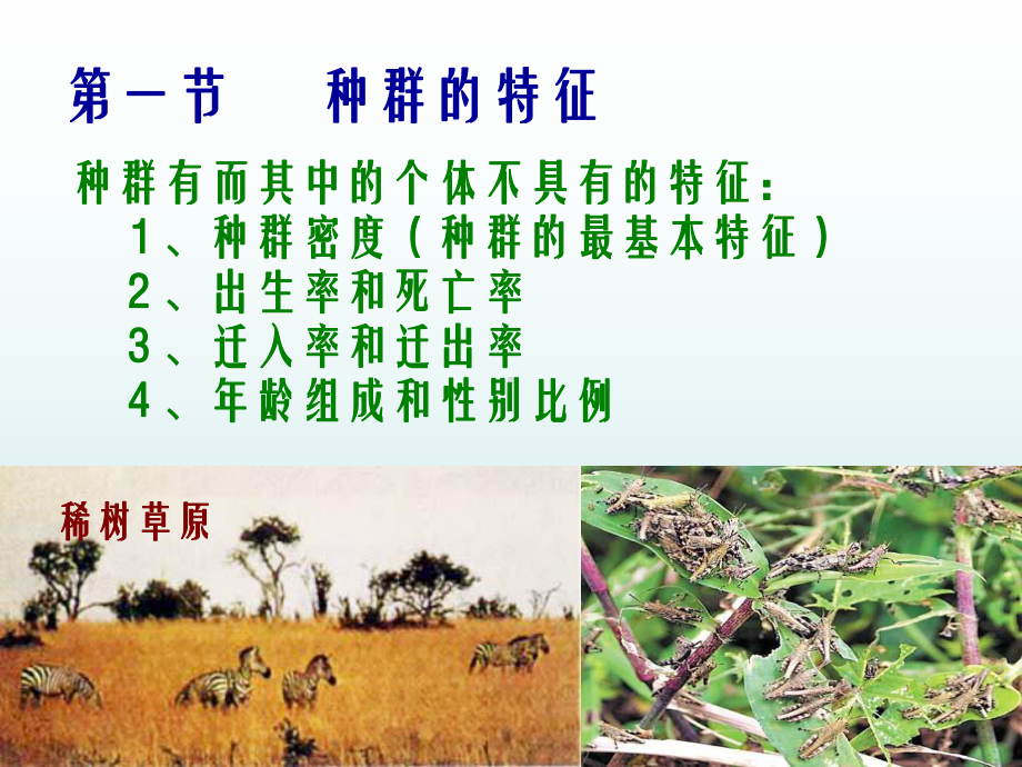 种群特征数量变化课件.ppt_第2页